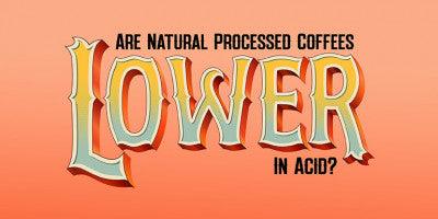 Are Natural Processed Coffees Lower in Acid?