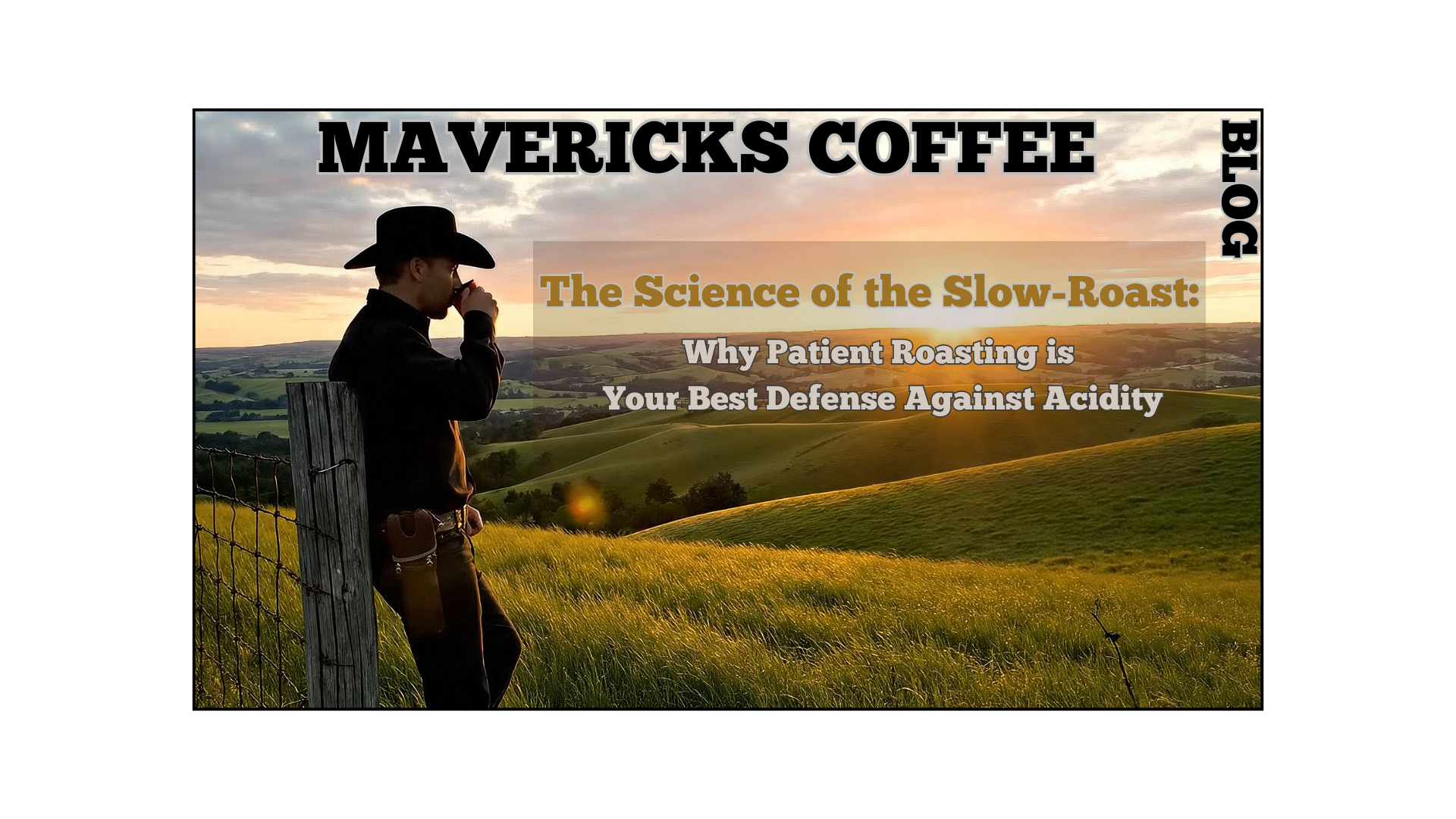 🔥 The Science of the Slow-Roast: Why Patient Roasting is Your Best Defense Against Acidity